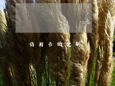 信用卡怕逾期 信用卡怕逾期