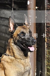 信用卡怕逾期代还 信用卡怕逾期代还