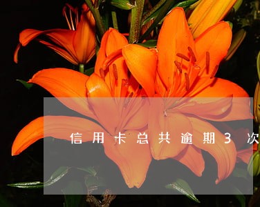 信用卡总共逾期3次 信用卡总共逾期3次