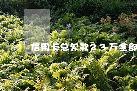 信用卡总欠款23万全部逾期了 信用卡总欠款23万全部逾期了