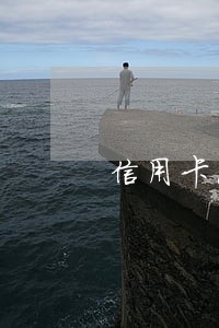 信用卡总逾期次数查询