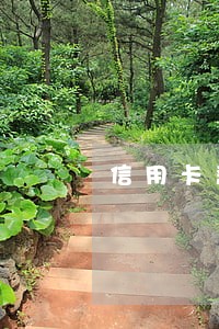 信用卡恶意套现透支逾期三月 信用卡恶意套现透支逾期三月