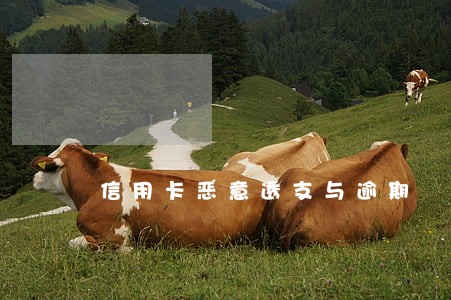 信用卡恶意透支与逾期 信用卡恶意透支与逾期