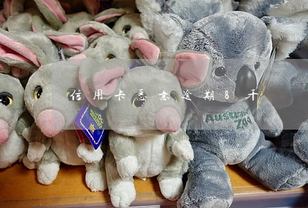 信用卡恶意逾期8千