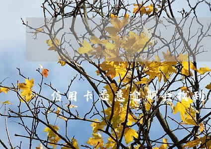 信用卡恶意逾期会找到人吗 信用卡恶意逾期会找到人吗