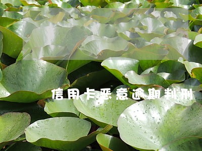 信用卡恶意逾期判刑