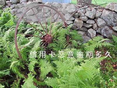 信用卡恶意逾期多久
