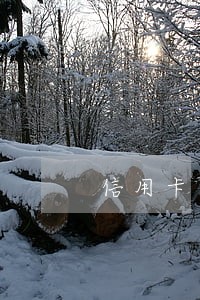 信用卡恶意逾期怎么取消 信用卡恶意逾期怎么取消
