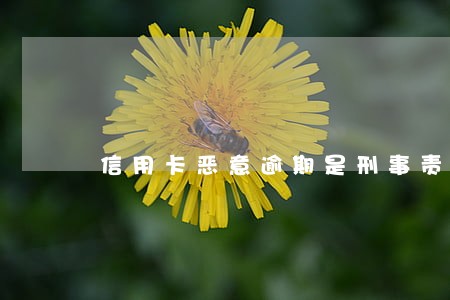 信用卡恶意逾期是刑事责任吗
