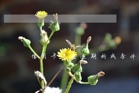 信用卡恶意逾期构成条件 信用卡恶意逾期构成条件