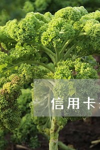 信用卡恶意逾期的规定
