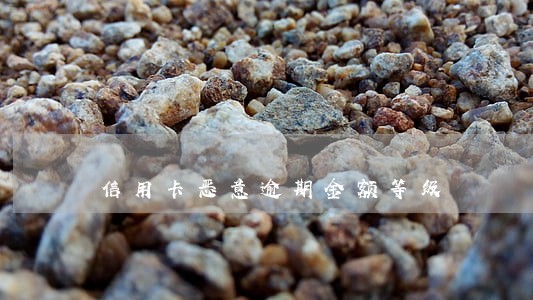 信用卡恶意逾期金额等级 信用卡恶意逾期金额等级