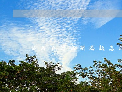 信用卡想逾期还款怎么办