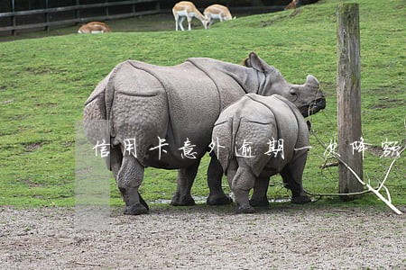 信用卡意外逾期一次降额 信用卡意外逾期一次降额