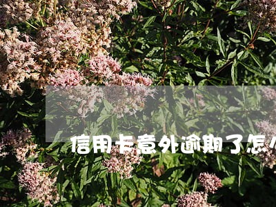信用卡意外逾期了怎么办 信用卡意外逾期了怎么办