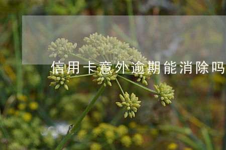 信用卡意外逾期能消除吗 信用卡意外逾期能消除吗