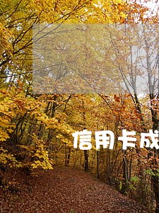 信用卡成呆账后只还本金可以吗