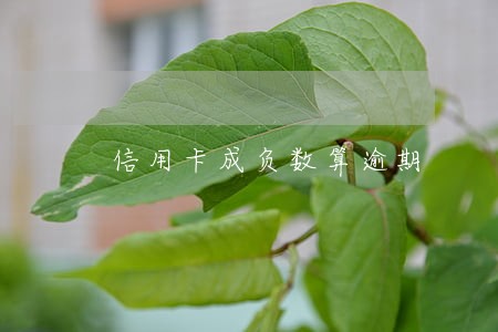 信用卡成负数算逾期 信用卡成负数算逾期