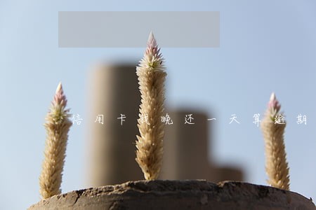 信用卡我晚还一天算逾期 信用卡我晚还一天算逾期