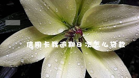 信用卡我逾期8次怎么贷款 信用卡我逾期8次怎么贷款