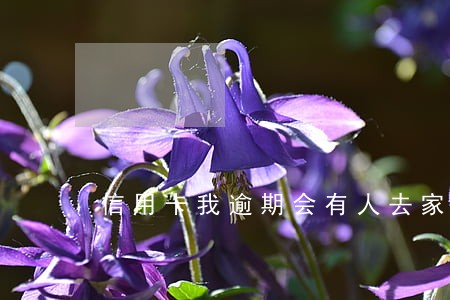 信用卡我逾期会有人去家里要钱吗 信用卡我逾期会有人去家里要钱吗