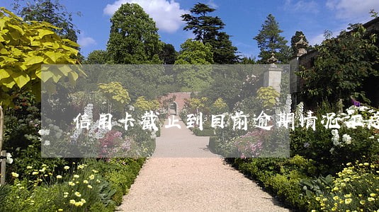 信用卡截止到目前逾期情况汇总 信用卡截止到目前逾期情况汇总
