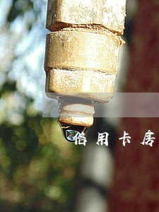 信用卡房贷逾期半年 信用卡房贷逾期半年