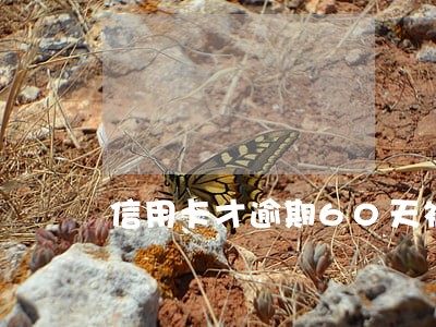 信用卡才逾期60天被冻结 信用卡才逾期60天被冻结