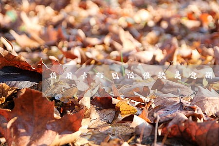 信用卡打电话催款是逾期吗 信用卡打电话催款是逾期吗
