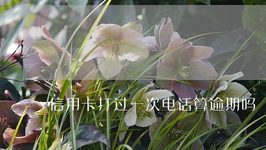 信用卡打过一次电话算逾期吗
