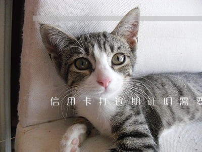 信用卡打逾期证明需要还多少天