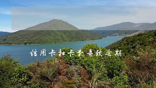 信用卡扣卡费导致逾期 信用卡扣卡费导致逾期