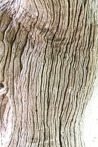 信用卡扣年费说我逾期 信用卡扣年费说我逾期