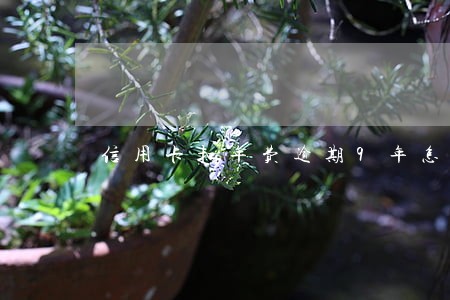 信用卡扣年费逾期9年怎么办
