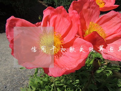 信用卡扣款失败算逾期吗 信用卡扣款失败算逾期吗