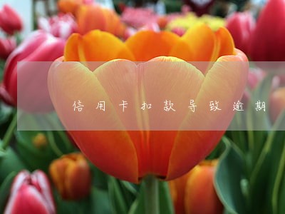 信用卡扣款导致逾期 信用卡扣款导致逾期