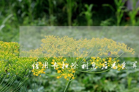 信用卡扣除利息后为负算逾期吗