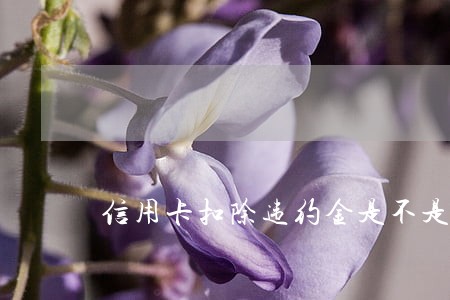 信用卡扣除违约金是不是逾期
