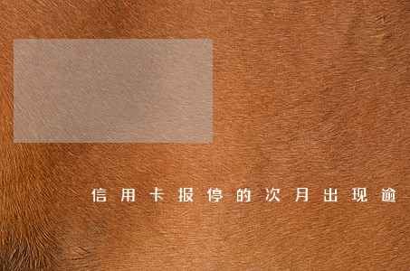信用卡报停的次月出现逾期 信用卡报停的次月出现逾期