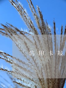 信用卡报告逾期代码a2