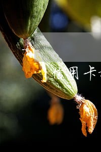 信用卡报送逾期信息 信用卡报送逾期信息
