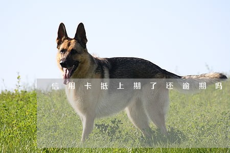 信用卡抵上期了还逾期吗 信用卡抵上期了还逾期吗