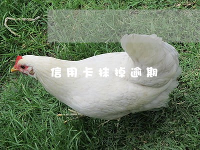 信用卡抹掉逾期 信用卡抹掉逾期