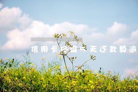 信用卡拖延5天还款算逾期不 信用卡拖延5天还款算逾期不