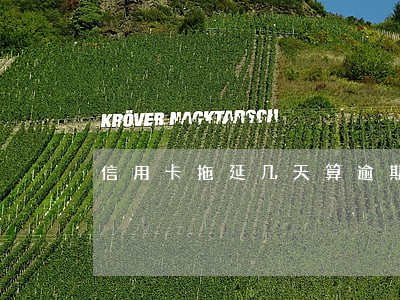 信用卡拖延几天算逾期