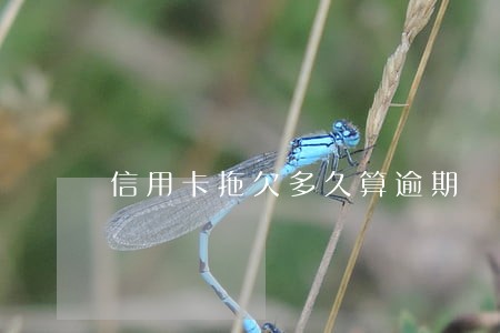 信用卡拖欠多久算逾期