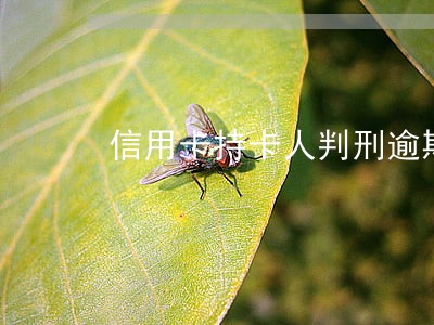 信用卡持卡人判刑逾期