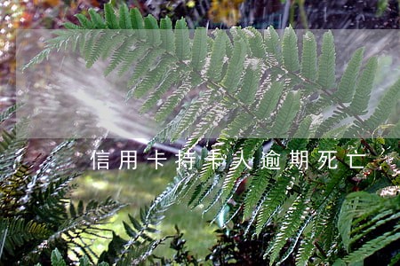 信用卡持卡人逾期死亡 信用卡持卡人逾期死亡