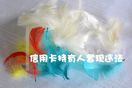 信用卡持有人套现违法 信用卡持有人套现违法