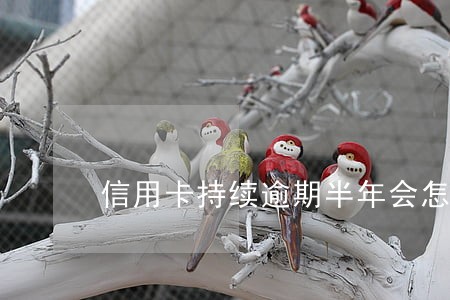 信用卡持续逾期半年会怎么样 信用卡持续逾期半年会怎么样